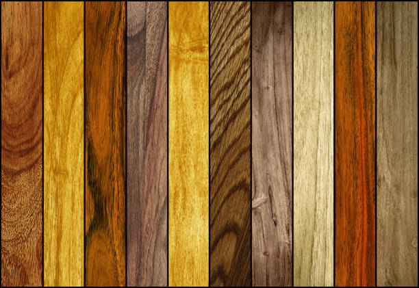A Guide to Selecting the Perfect Wood for Your Project