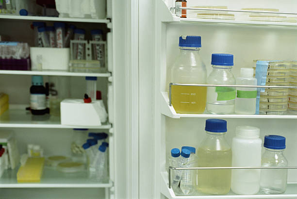 Simple Strategies to Boost Your Mini Fridge’s Energy Efficiency