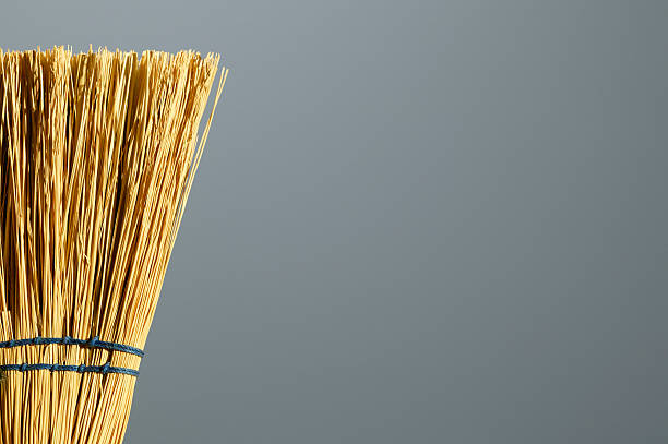 Crafting a Homemade Broom from Nature’s Bounty