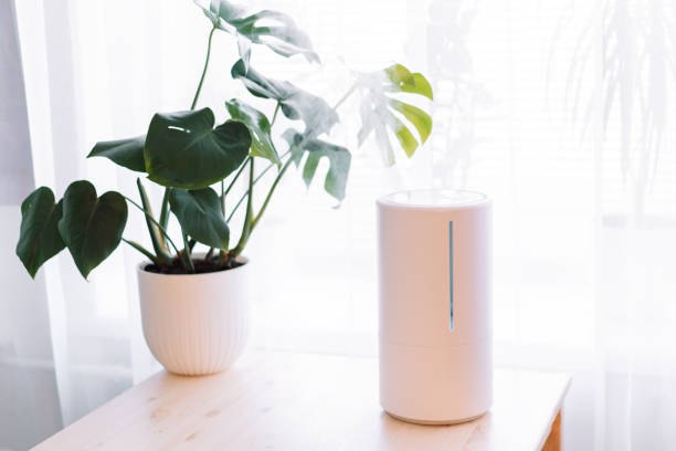 How to Create an Emergency DIY Air Filter for Cleaner Indoor Air