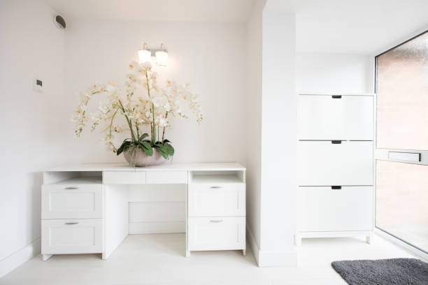 Transforming Your Closet into a Custom Storage Cabinet System