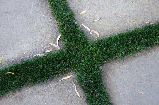 Can I Install Artificial Grass on Concrete?