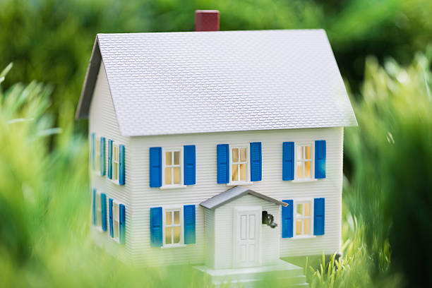 Your Guide to Finding the Perfect Solar Shades for Your Home