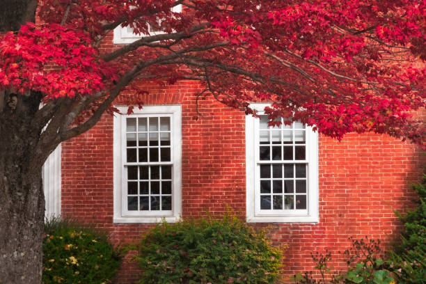 The Timeless Appeal of Double-Hung Windows: Why Homeowners Love Them