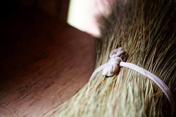 How to Remove Stubborn Dirt Stuck in Broom Bristles – A Homeowner’s Guide