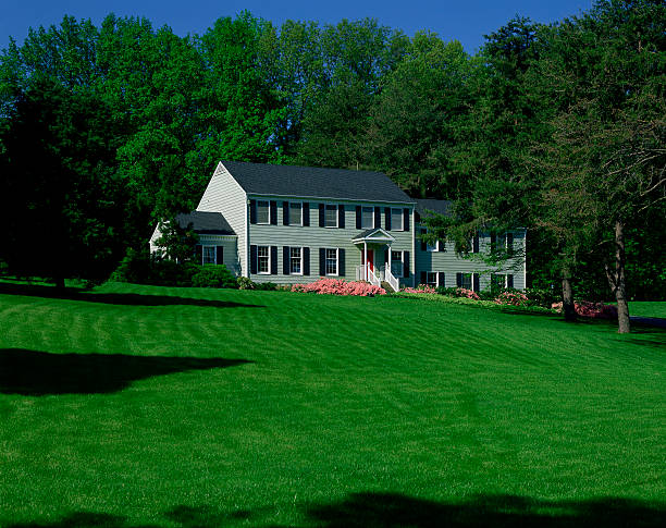 The Secret to a Thick, Green Lawn? It’s All About Overseeding