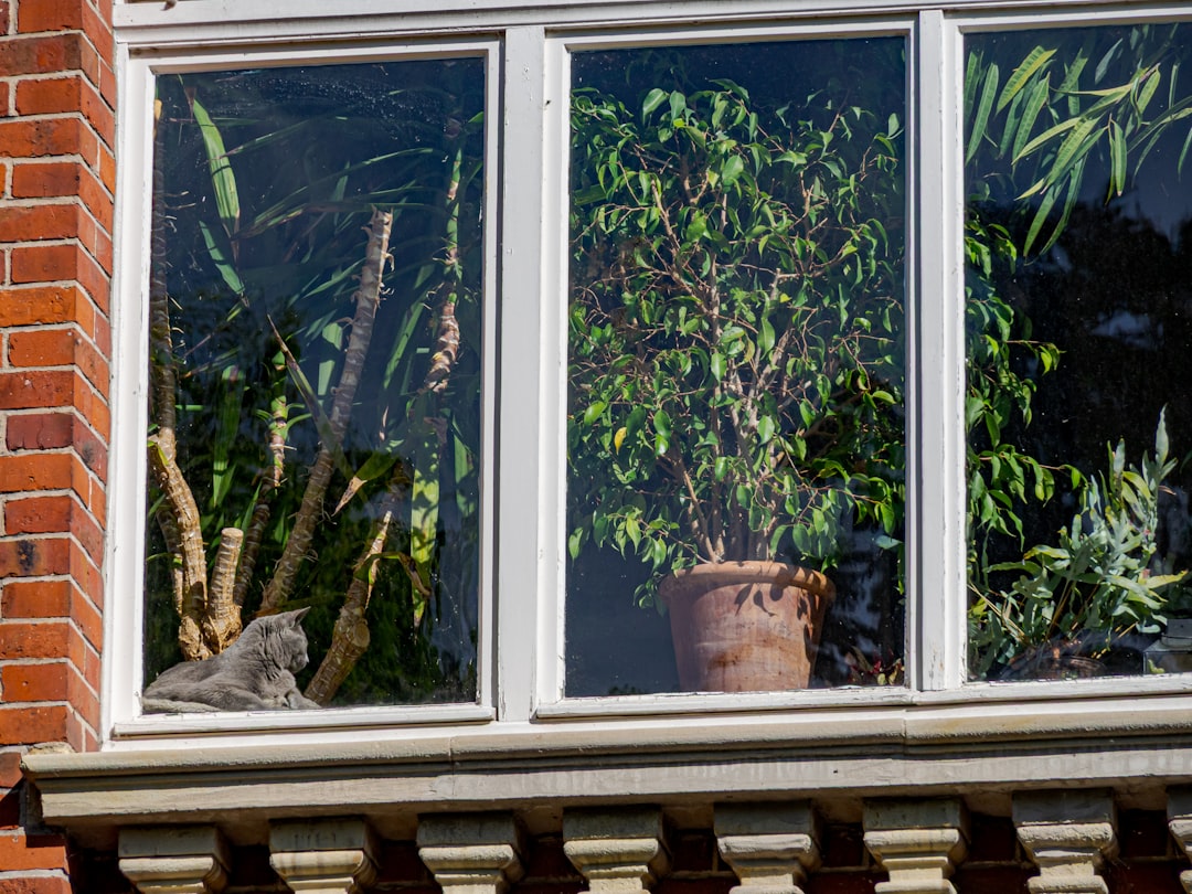 Why Your Window Won’t Stay Open and How to Fix It