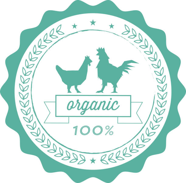 Organic vs. Inorganic Mulch: Which One is Right for Your Garden?