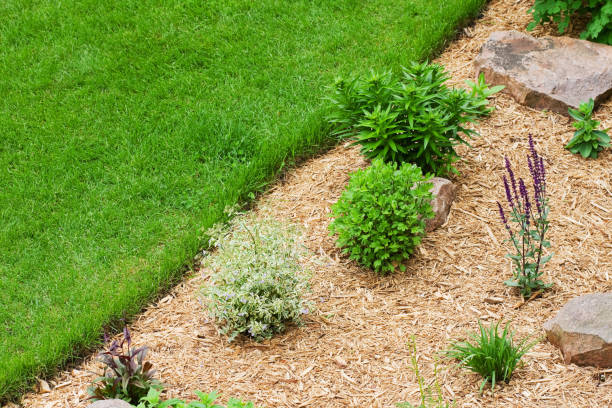 Choosing the Right Mulch for Your Landscape