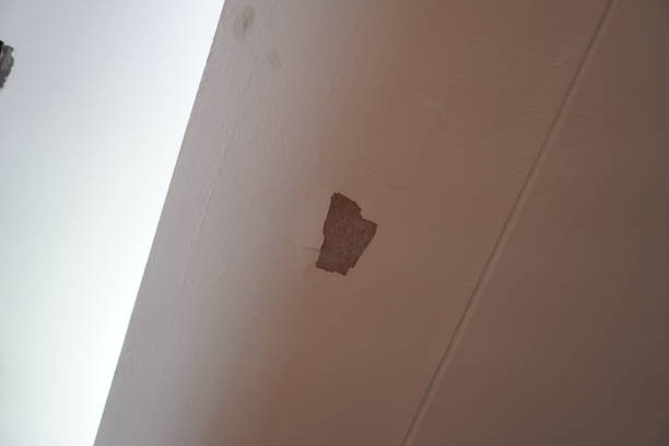 Why Your Wall Plates Get Loose and How to Fix Them Forever