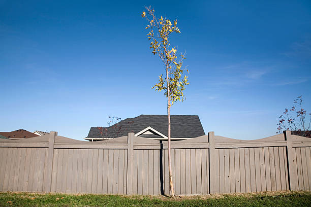 Choosing the Right Pressure-Treated Wood for Your DIY Fence