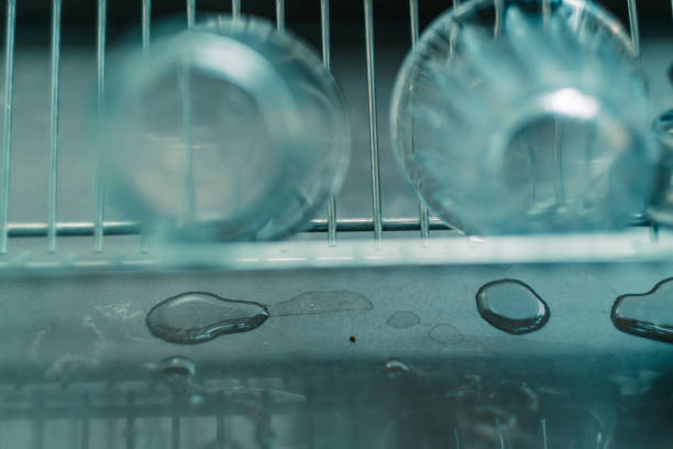 How to Fix a Dishwasher That Won’t Drain