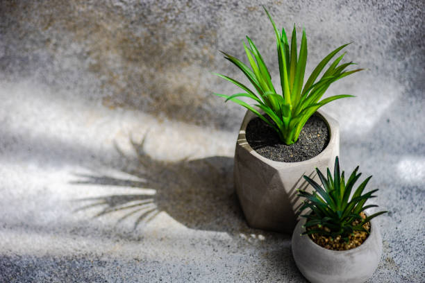 How to Make Artificial Plants Look Real in Your Home