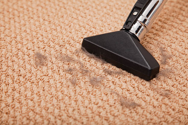 The Secret to a Perfect Vacuum: Understanding Wet Dry Vacuum Filters