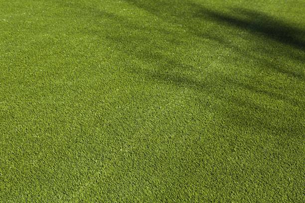 How to Clean and Maintain Your Artificial Grass Rug for a Perfect Lawn All Year