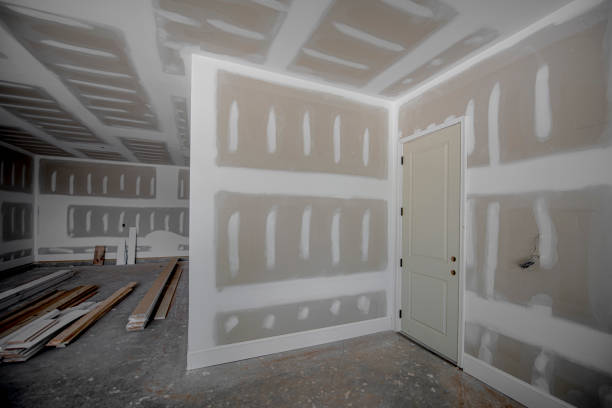 Wall Anchors for Drywall: A Homeowner’s Guide