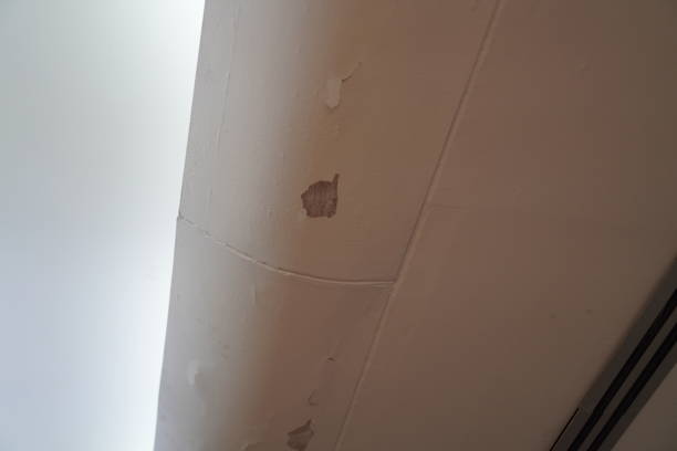Patching a Hole in Your Ceiling: A Simple Guide for Homeowners