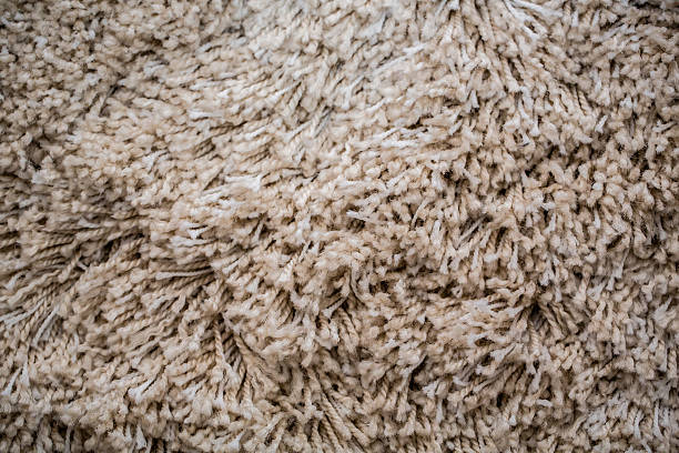 How to Keep Your Plush Rugs Looking Brand New