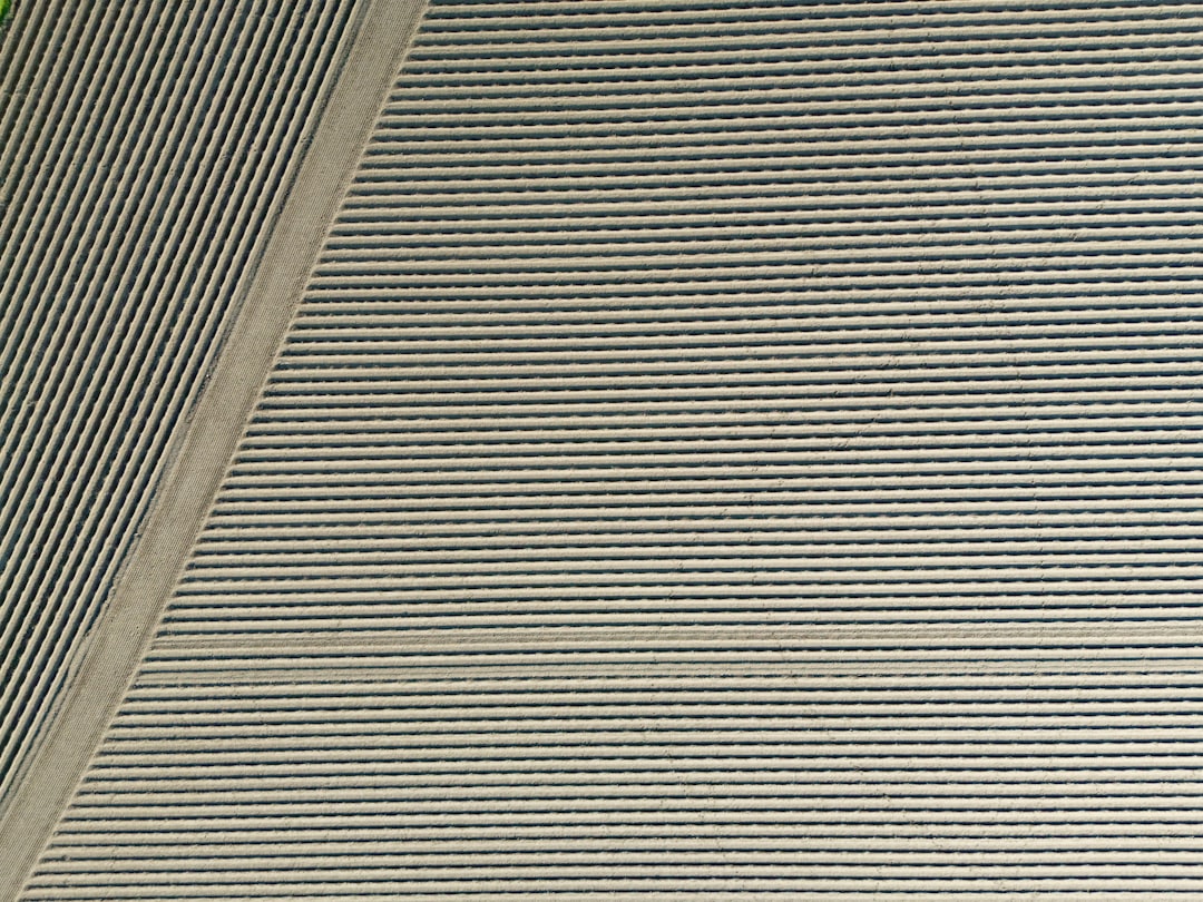 Cellular Shades: The Energy-Saving Solution for Your Home