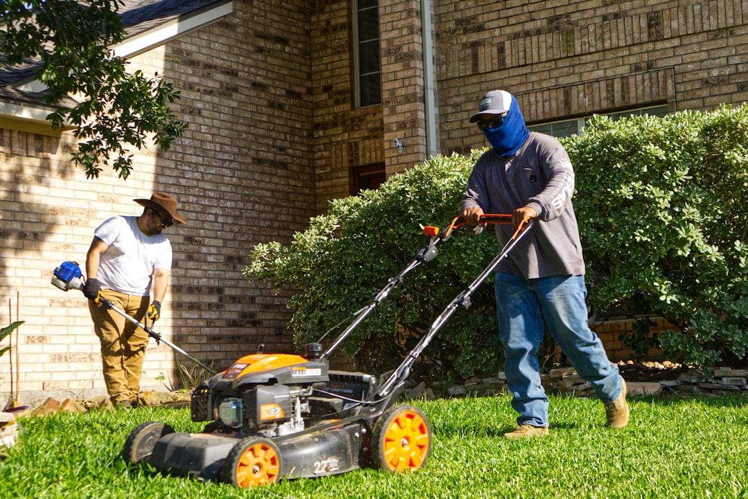 Mulching vs. Bagging: Choosing the Best Way to Handle Your Grass Clippings