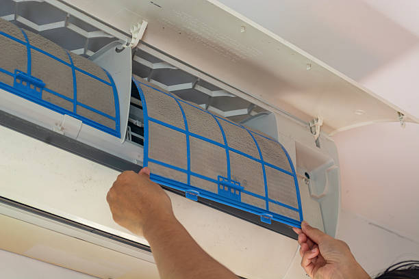 How to Clean Your Dishwasher Filter (And Why You Should)