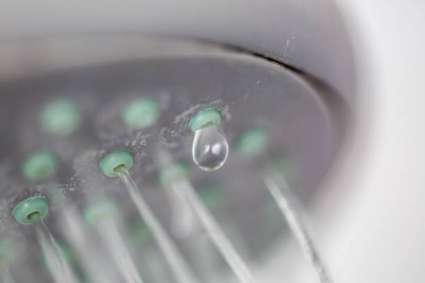 Why Your Shower Head Is Dripping (And How to Stop It)