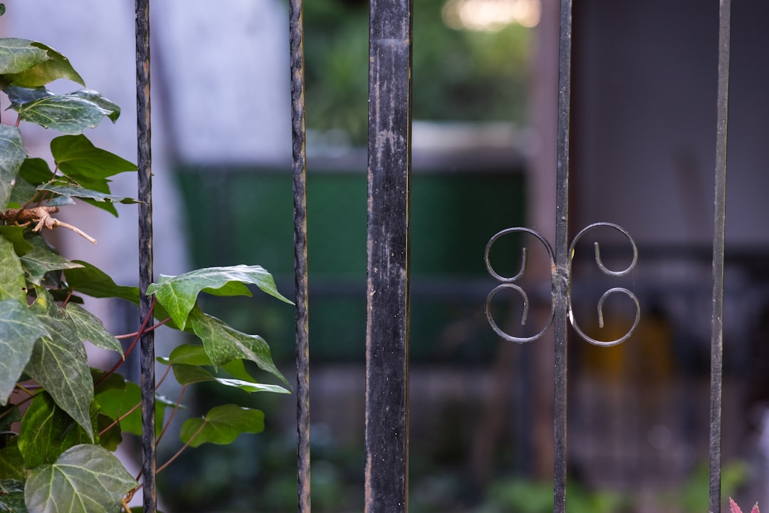 Why Your Grill Grate Rusts and How to Fix It Forever