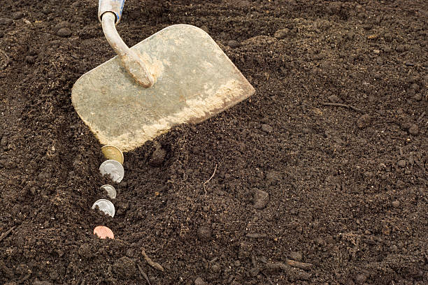 The No-Dig Method for Filling Your Raised Garden Bed