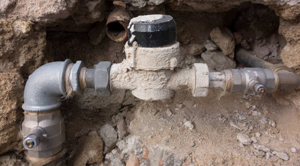 The Toilet Flush Valve: How It Works and When to Replace It