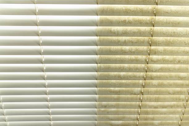 The Best Way to Clean Faux Wood Blinds (Without Damaging the Slats)