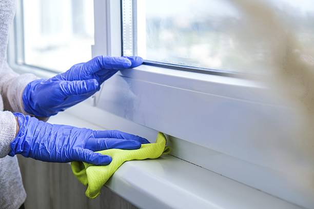 How to Clean Roman Shades Without Ruining Them