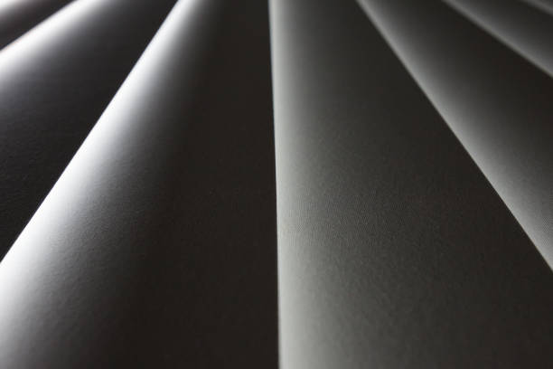 Finding the Perfect Shade: Why Light Filtering vs. Blackout Really Matters