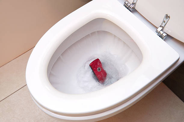 How to Replace a Toilet Flapper (and Stop That Annoying Running Noise)