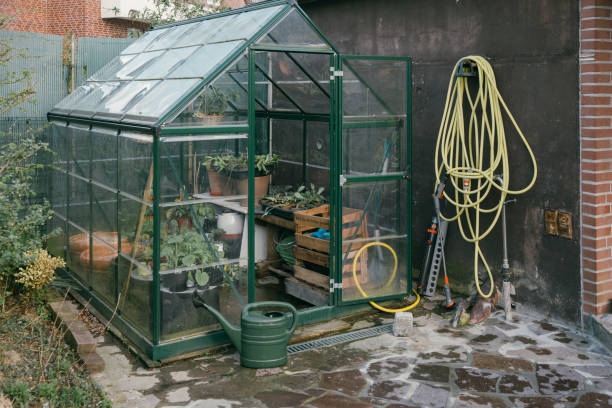 How to Plan a Year-Round Greenhouse Growing Schedule