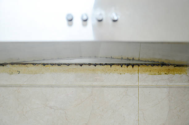 The Complete Guide to Grout Care and Restoration