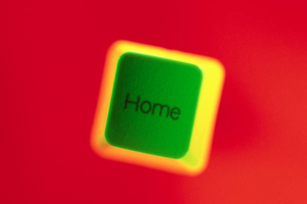 Click-Lock vs. Glue-Down: Which Hybrid Flooring Installation is Right for Your DIY Project?
