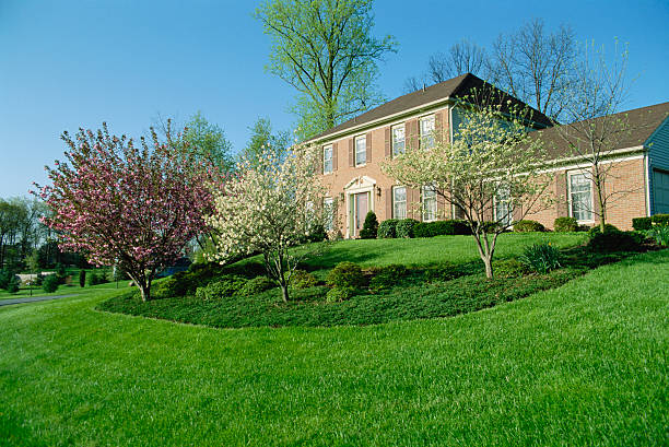 How Deep Should You Spread Mulch? The Goldilocks Rule for Your Garden