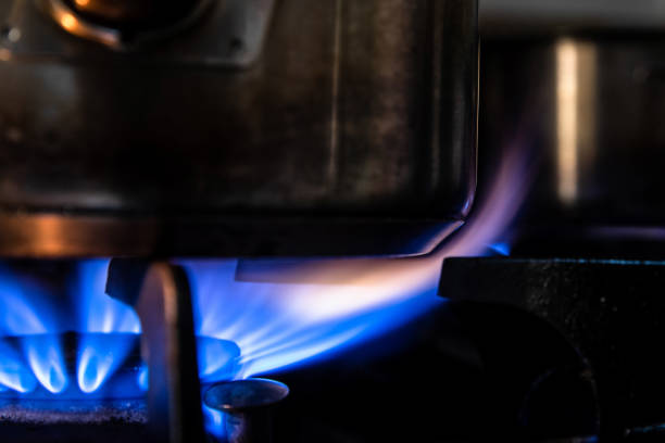 Why Your Blender Smells Like Burning (And How to Fix It Yourself)