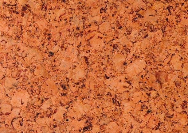 Choosing Cork Flooring for Your Home: A Soft, Sustainable, and Smart Choice