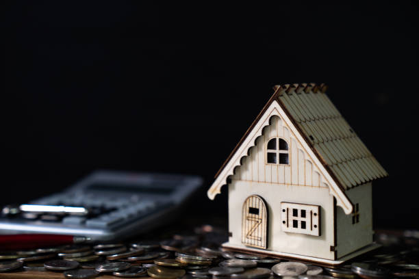 Understanding Plywood Grades: A Homeowner’s Guide