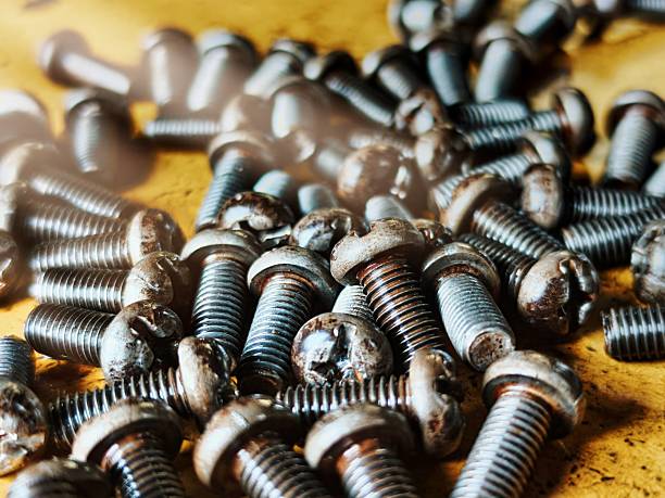 The Right Screw for the Job: A Homeowner’s Guide to Fastening
