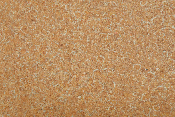 Cork Flooring: A Warm, Natural Option That Stands Up to Daily Life