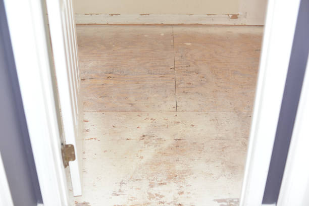 What Is Underlayment and Why Your New Floor Needs It