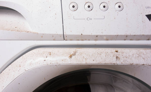 Why Your Dryer Takes Forever to Dry Clothes (And How to Fix It)
