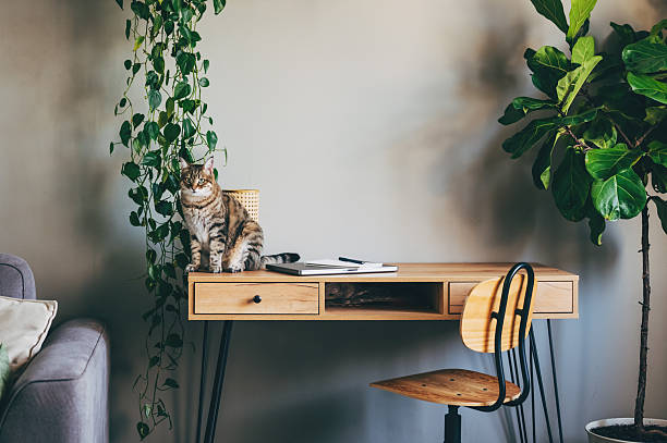 The Hidden Role of Your Desk Material in Home Office Comfort