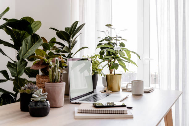 The Heart of Your Home Office: Picking a Desk That Works for You